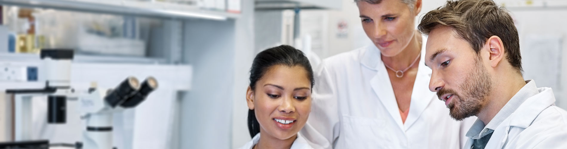 people working in laboratory